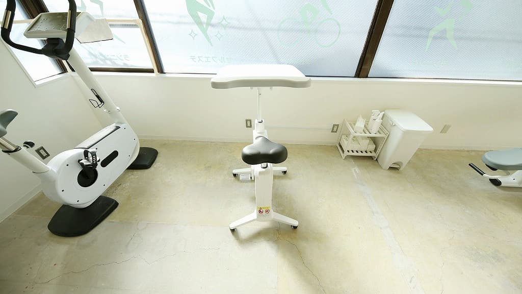 やぶこさん専用 ハヤブサ NSSフックパーフェクション FF329 Hayabusa - 【バス