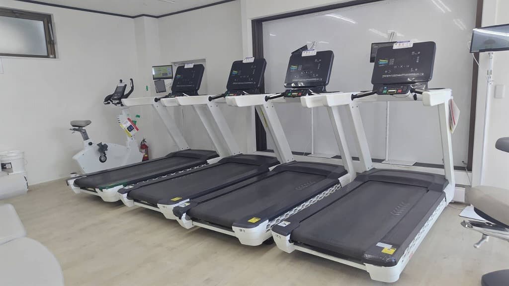 ショルナー社 チャイム 楽天市場】Schollner ショルナー 木路クーゲルチャイム〜シュタイナー