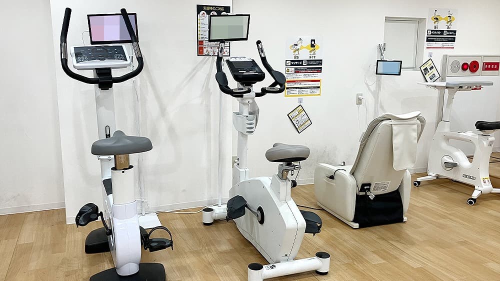 リペアショップ発　ビザール　セミアコタイプ　整備済み リペアショップ発 ビザール セミアコタイプ 整備済み