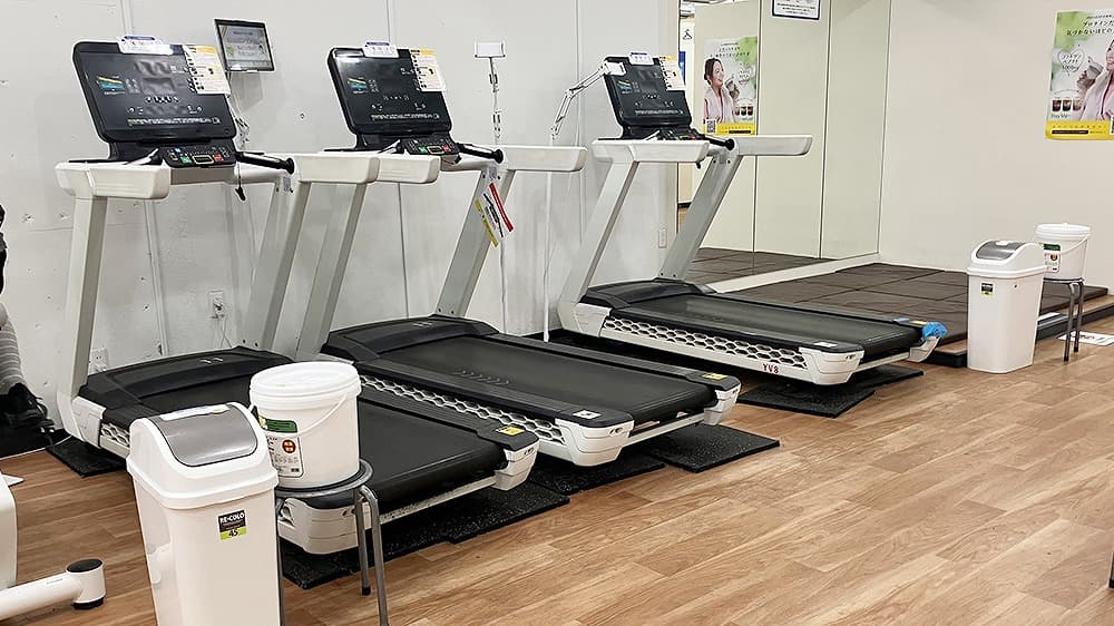 ちょこ Sneaker Adidas ZX Torsion Bright Cyan - CSWO52 Original | Etiqueta