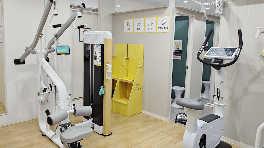 masatito2022専用 楽天市場】【5H限定豪華プレゼント｜12/1 19時～】特典付き