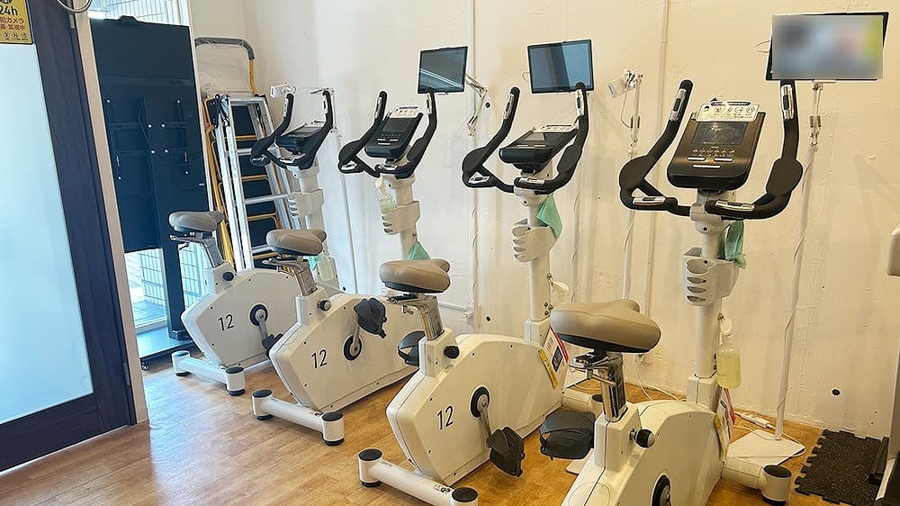 リペアショップ発　ビザール　セミアコタイプ　整備済み リペアショップ発 ビザール セミアコタイプ 整備済み